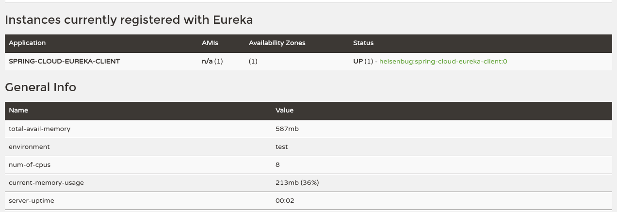 Eureka 控制面板中注册的服务